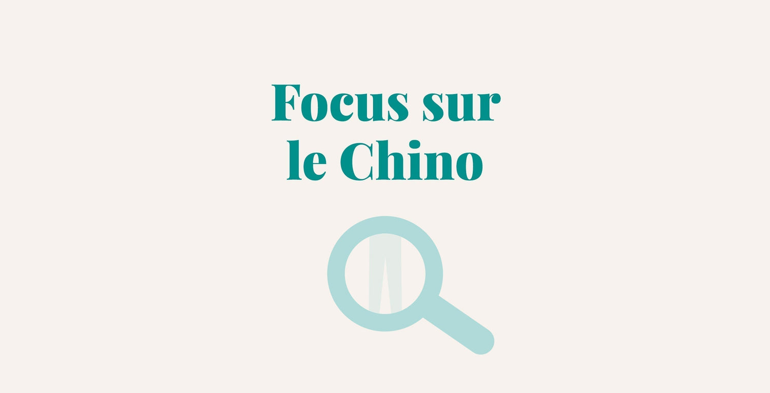 Focus sur le Chino : son histoire et ses caractéristiques