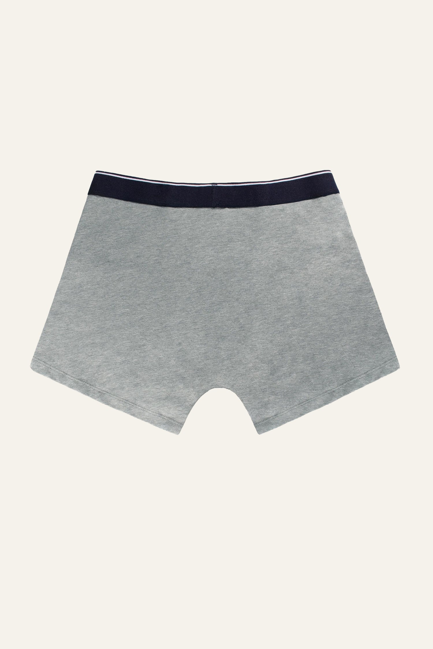 Boxer gris chiné