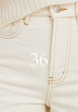 T36